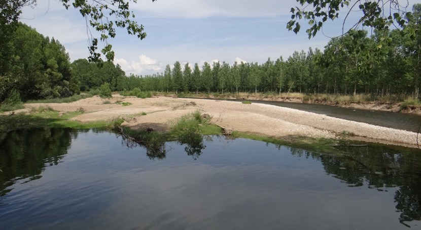 análisis beneficiosos efectos ecológicos restauración río Órbigo