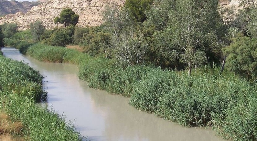 Río Segura en la Región de Murcia (Wikipedia/CC).