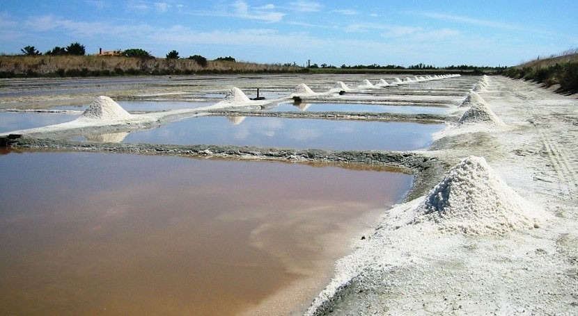 ¿Qué son salinas?