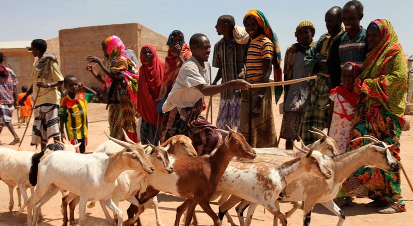 severa sequía que azota este África deja al borde muerte 700.000 niños