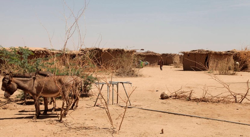 riesgo nueva sequía amenaza recuperación Etiopía