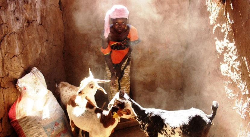 Suecia apoya agricultores y ganaderos afectados sequía Sahel