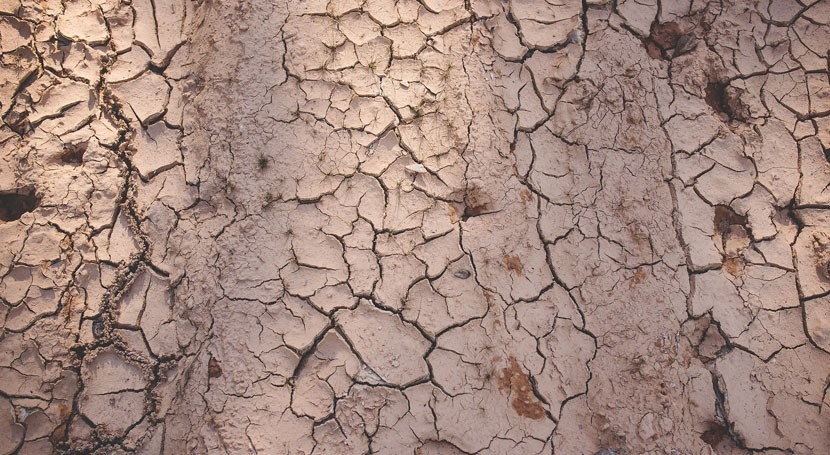 Nobel Edward Rubin pide "liderazgo" cambio climático y advierte sequía