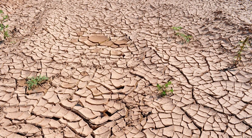 sequías Estados Unidos podrían estar relacionadas sí