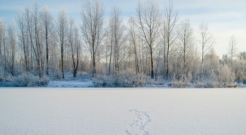 Siberia podría ser habitable humanos final siglo cambio climático