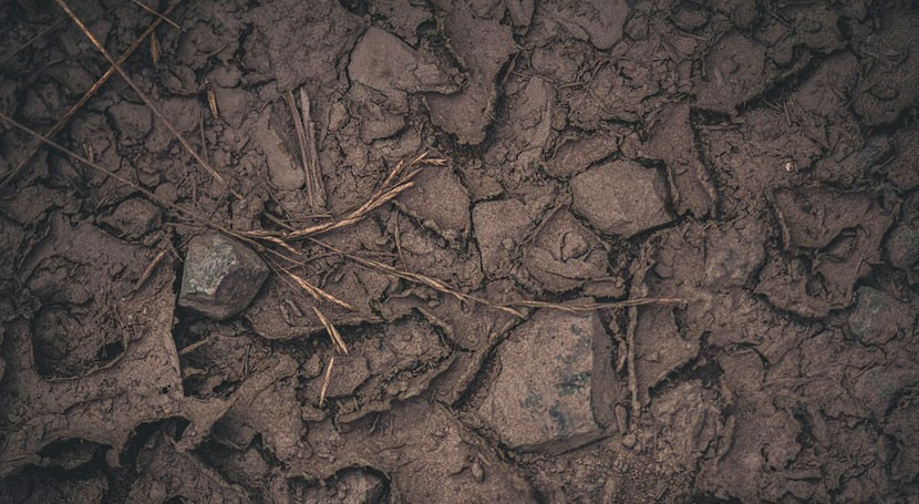 gestión suelos podría determinar éxito o fracaso frente al cambio climático