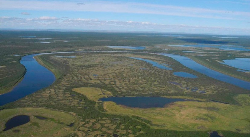 tundra Siberia podría desaparecer mitad milenio efectos cambio climático