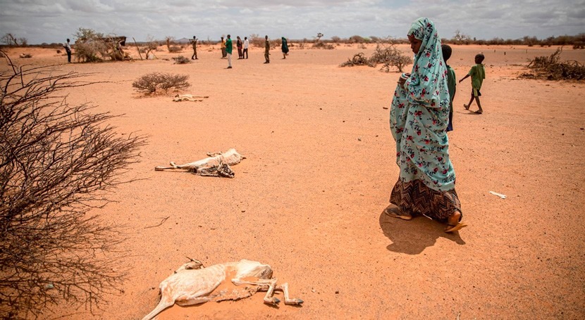 Alrededor 200 niños somalíes han muerto enero desnutrición causa sequía