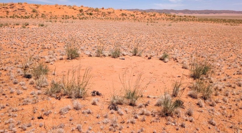 estrés hídrico provoca 'círculos hadas' Namibia