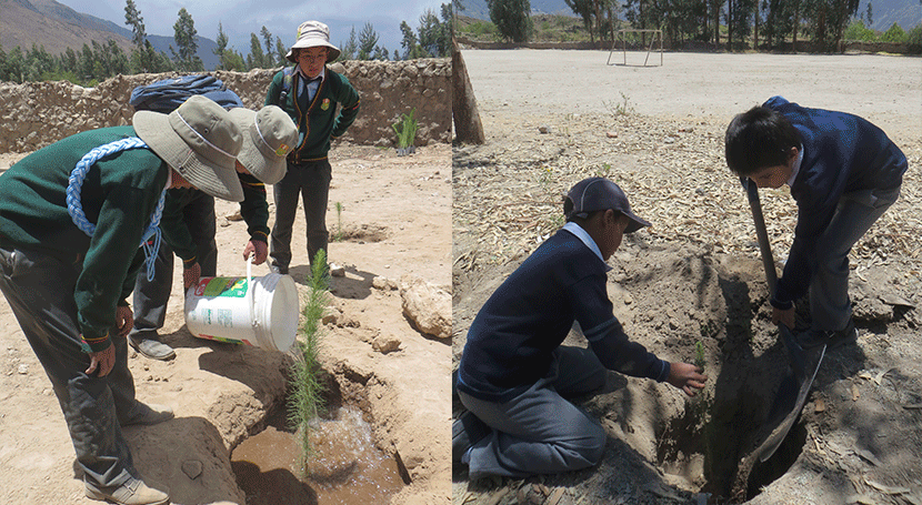 Vigilantes Agua Perú siembran plantones Semana Acción Forestal