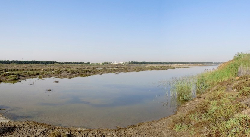 Emiratos Árabes Unidos designa Wasit Nature Reserve como nuevo sitio Ramsar