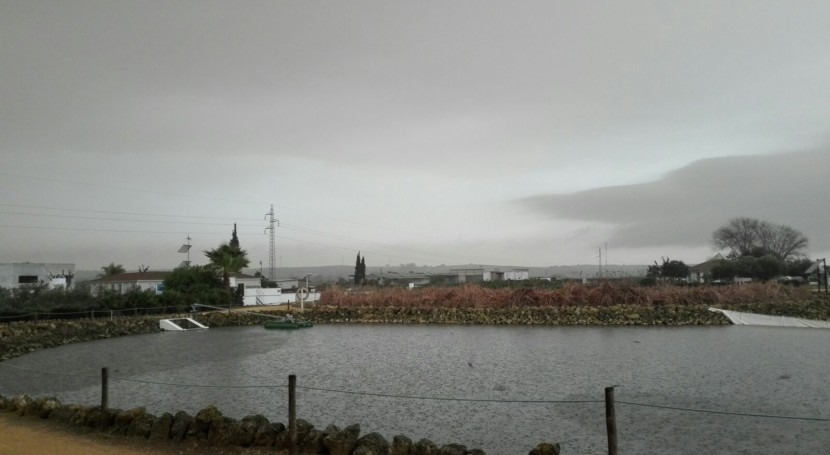 agua al cuello
