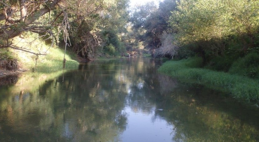 Mejorando hábitat náyades autóctonas río Ebro